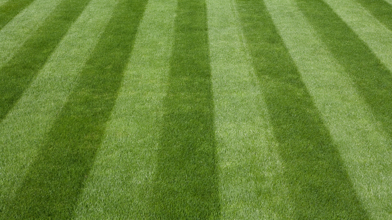 Professional lawn mowing service by Emerald Lawn Company