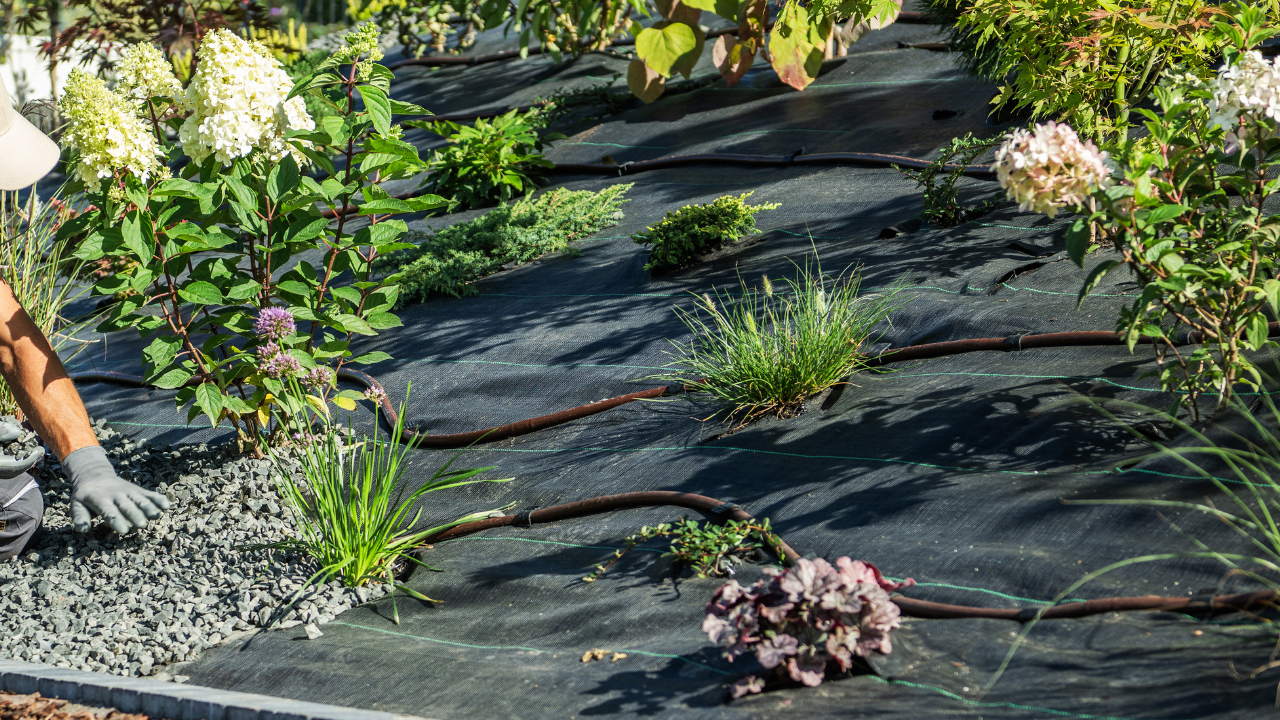 Softscape services by Emerald Lawn Company