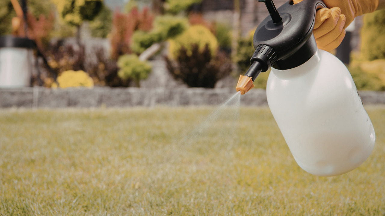 Lawn fertilizing and spray application service by Emerald Lawn Company
